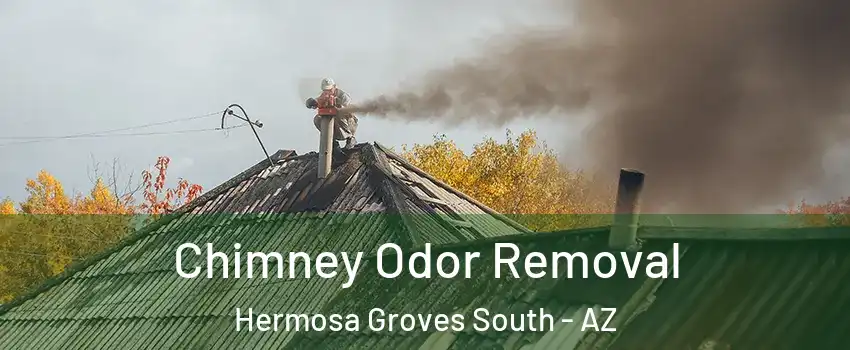 Chimney Odor Removal Hermosa Groves South - AZ