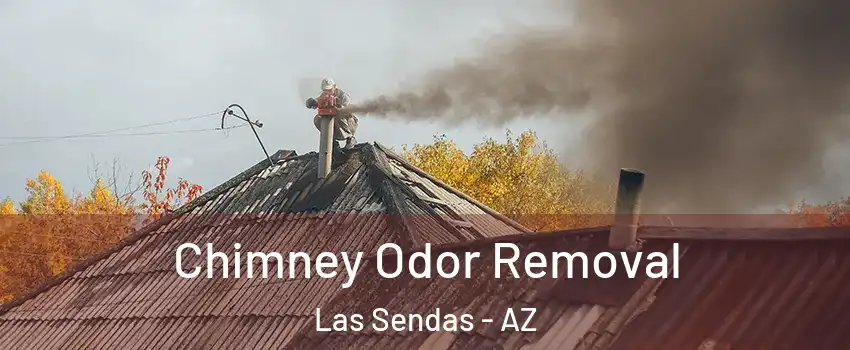 Chimney Odor Removal Las Sendas - AZ