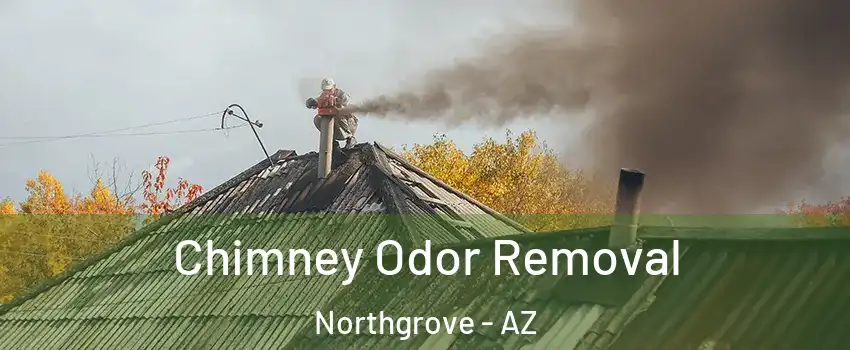 Chimney Odor Removal Northgrove - AZ