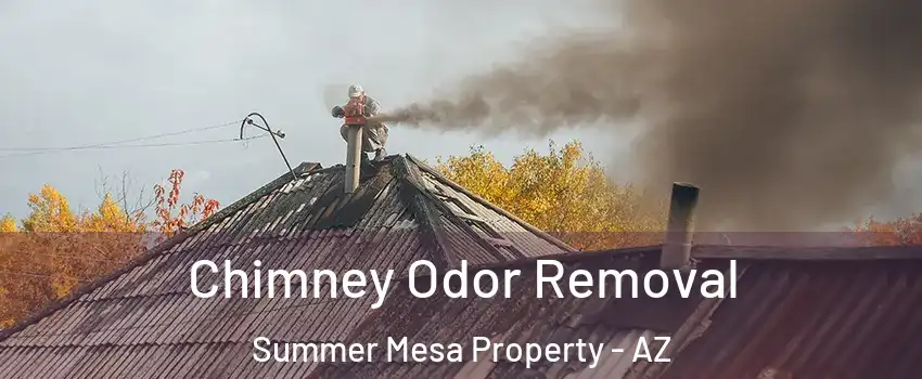 Chimney Odor Removal Summer Mesa Property - AZ