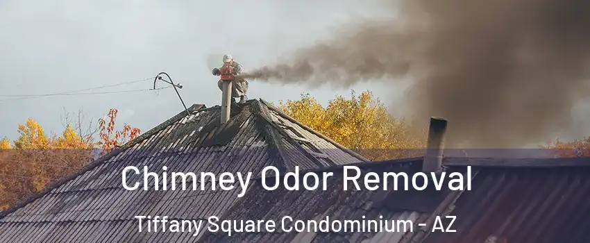 Chimney Odor Removal Tiffany Square Condominium - AZ