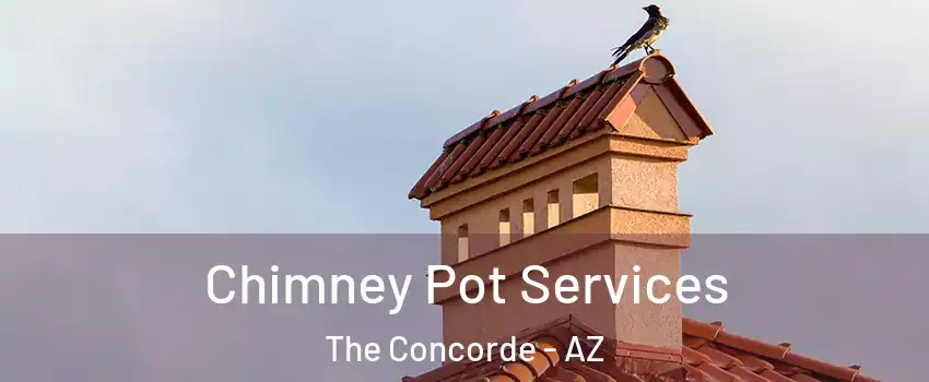 Chimney Pot Services The Concorde - AZ