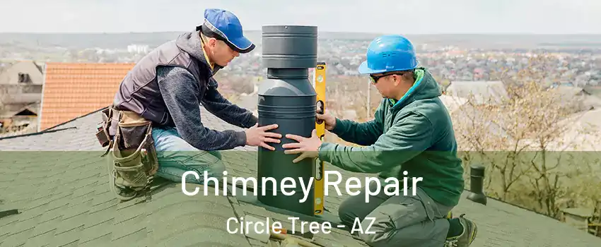 Chimney Repair Circle Tree - AZ