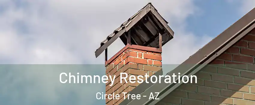 Chimney Restoration Circle Tree - AZ