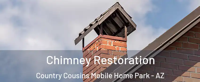 Chimney Restoration Country Cousins Mobile Home Park - AZ