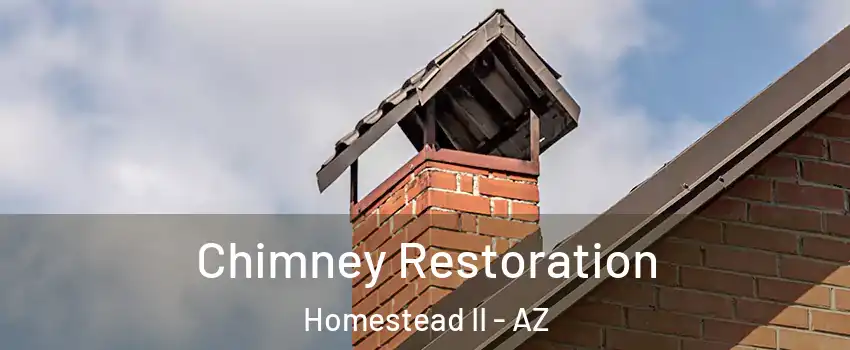 Chimney Restoration Homestead II - AZ