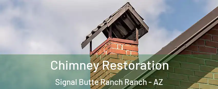 Chimney Restoration Signal Butte Ranch Ranch - AZ