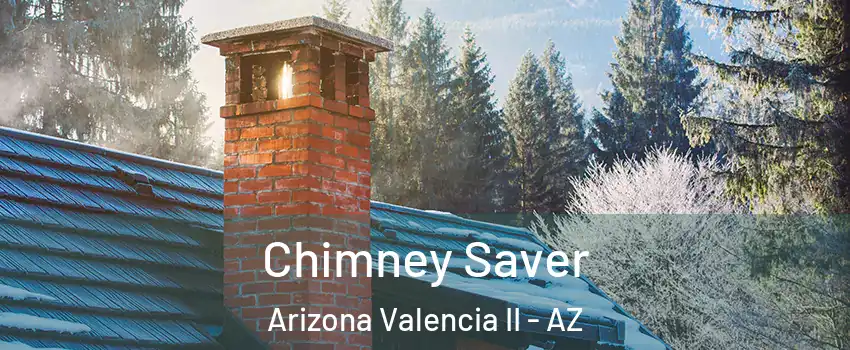 Chimney Saver Arizona Valencia II - AZ