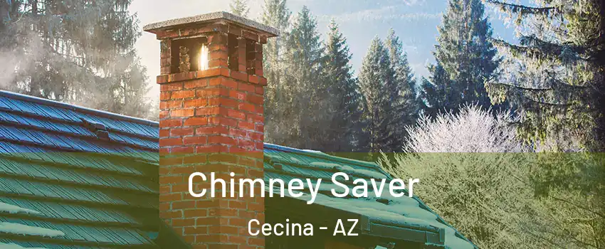 Chimney Saver Cecina - AZ