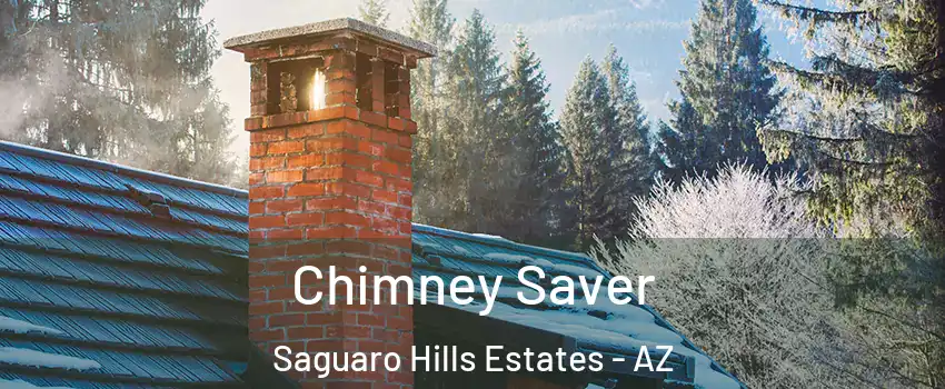 Chimney Saver Saguaro Hills Estates - AZ