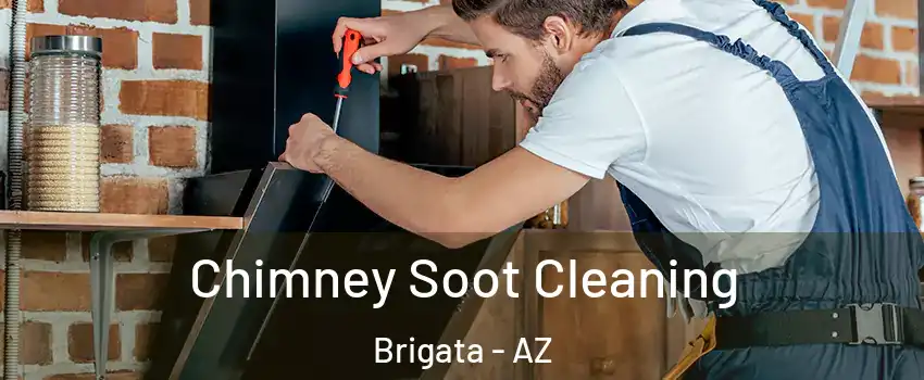 Chimney Soot Cleaning Brigata - AZ