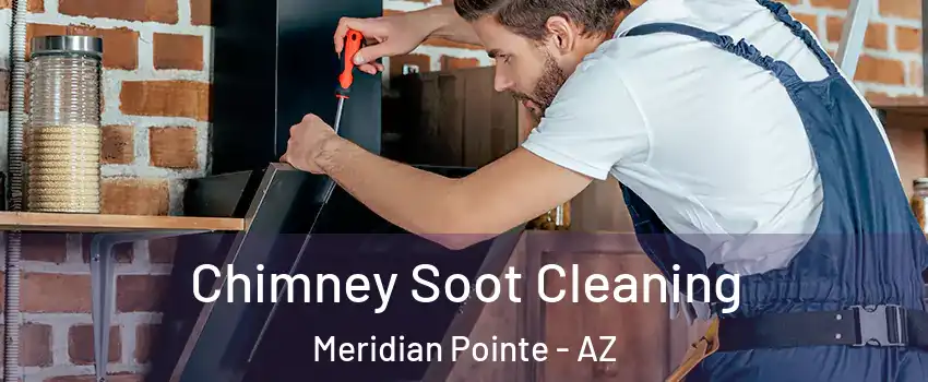 Chimney Soot Cleaning Meridian Pointe - AZ