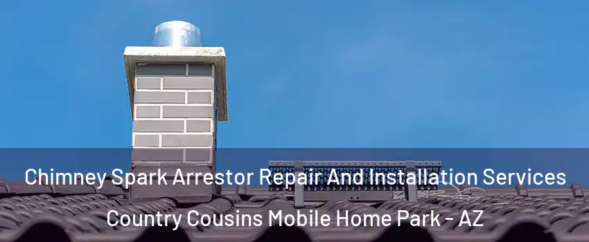 Chimney Spark Arrestor Repair And Installation Services Country Cousins Mobile Home Park - AZ