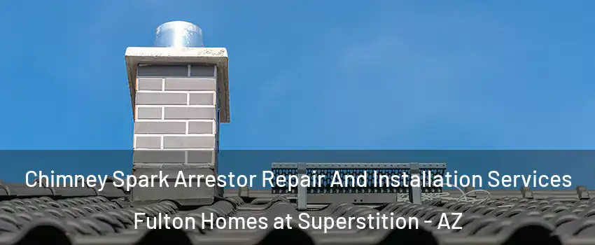 Chimney Spark Arrestor Repair And Installation Services Fulton Homes at Superstition - AZ