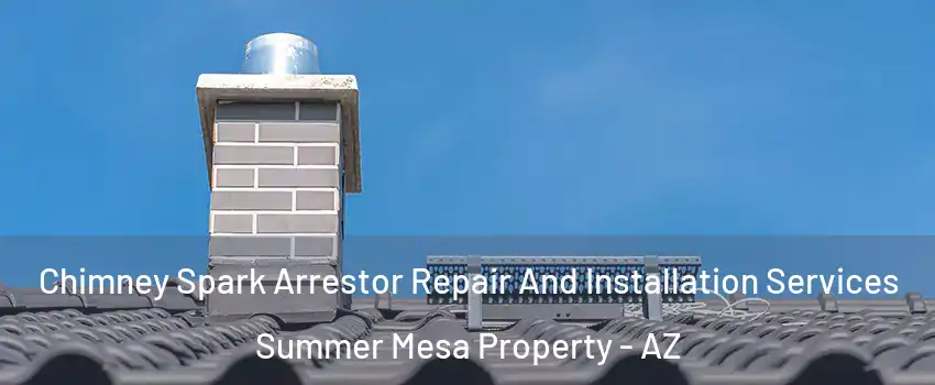 Chimney Spark Arrestor Repair And Installation Services Summer Mesa Property - AZ