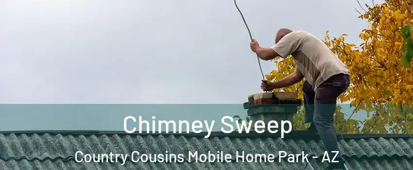 Chimney Sweep Country Cousins Mobile Home Park - AZ