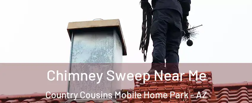 Chimney Sweep Near Me Country Cousins Mobile Home Park - AZ