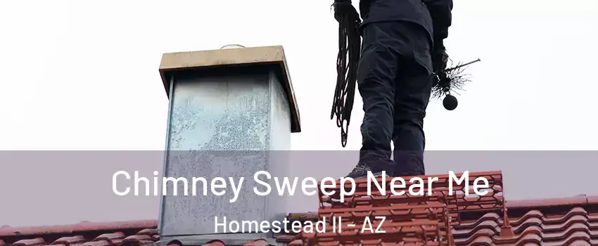 Chimney Sweep Near Me Homestead II - AZ