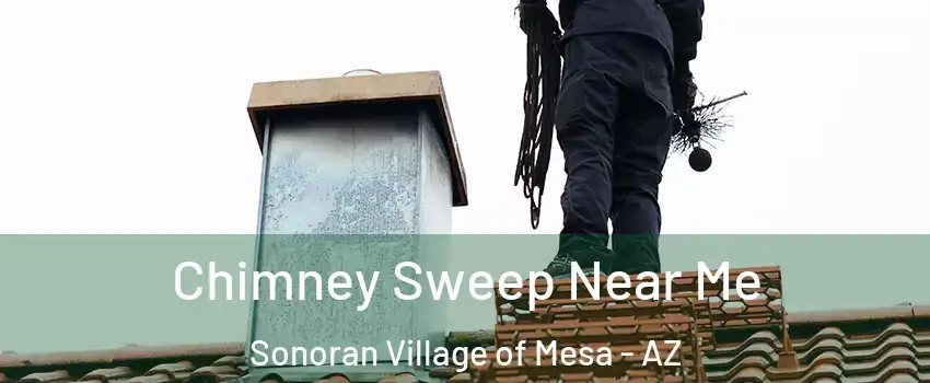 Chimney Sweep Near Me Sonoran Village of Mesa - AZ