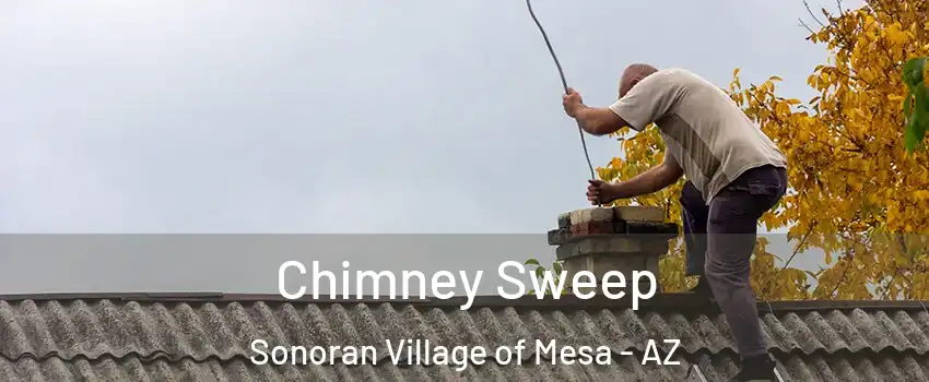 Chimney Sweep Sonoran Village of Mesa - AZ