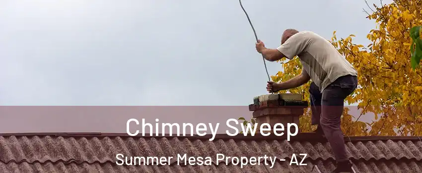 Chimney Sweep Summer Mesa Property - AZ