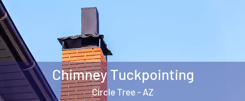 Chimney Tuckpointing Circle Tree - AZ