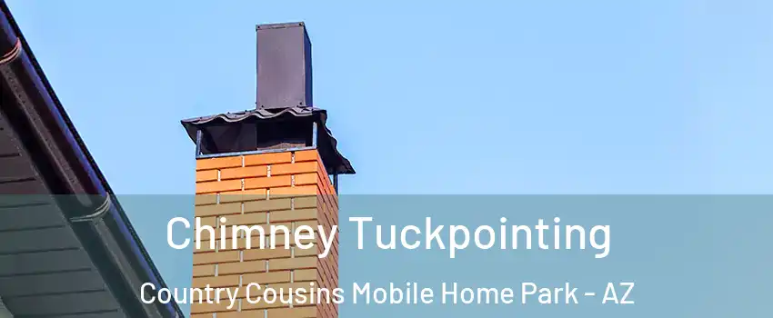 Chimney Tuckpointing Country Cousins Mobile Home Park - AZ