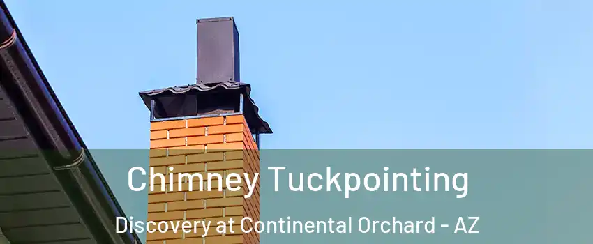 Chimney Tuckpointing Discovery at Continental Orchard - AZ