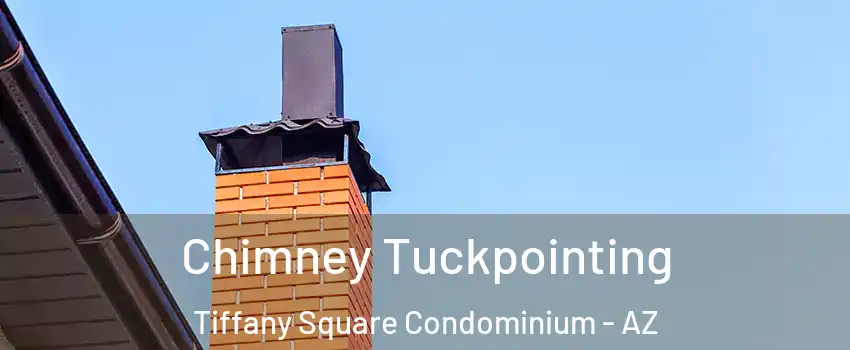 Chimney Tuckpointing Tiffany Square Condominium - AZ