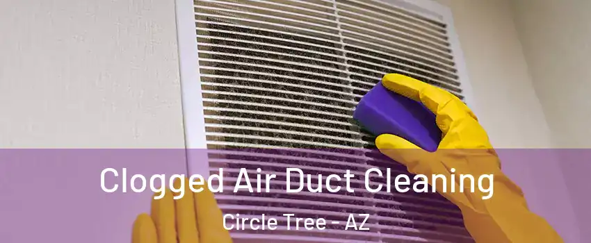 Clogged Air Duct Cleaning Circle Tree - AZ