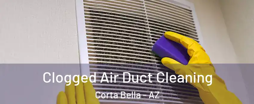 Clogged Air Duct Cleaning Corta Bella - AZ