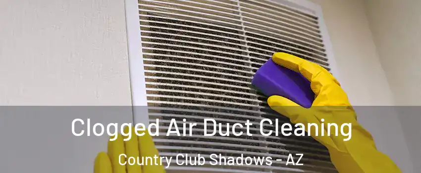 Clogged Air Duct Cleaning Country Club Shadows - AZ