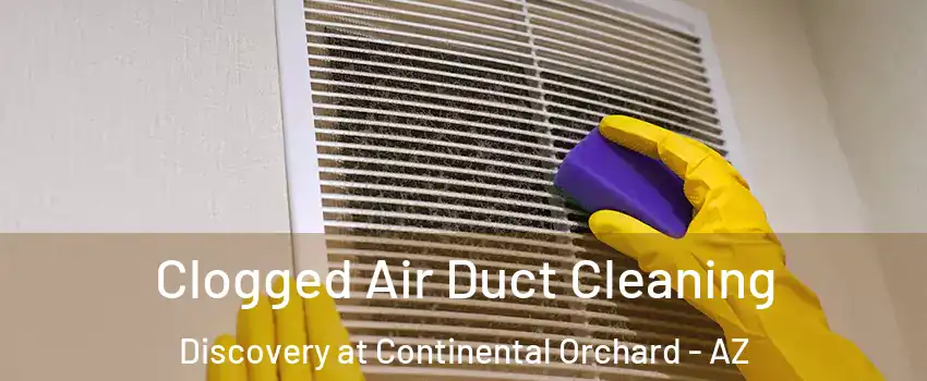 Clogged Air Duct Cleaning Discovery at Continental Orchard - AZ