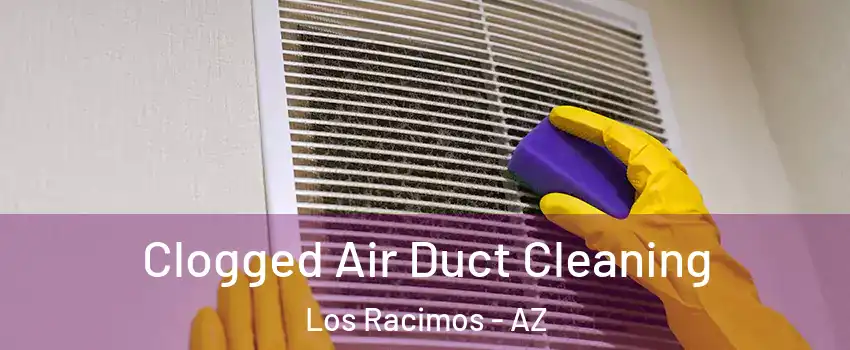 Clogged Air Duct Cleaning Los Racimos - AZ