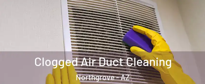 Clogged Air Duct Cleaning Northgrove - AZ