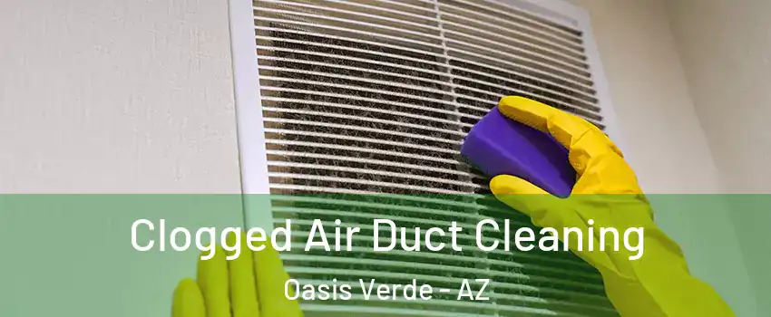 Clogged Air Duct Cleaning Oasis Verde - AZ