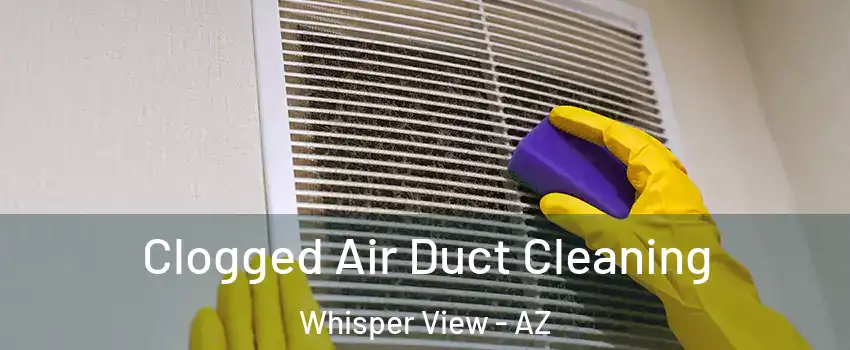 Clogged Air Duct Cleaning Whisper View - AZ