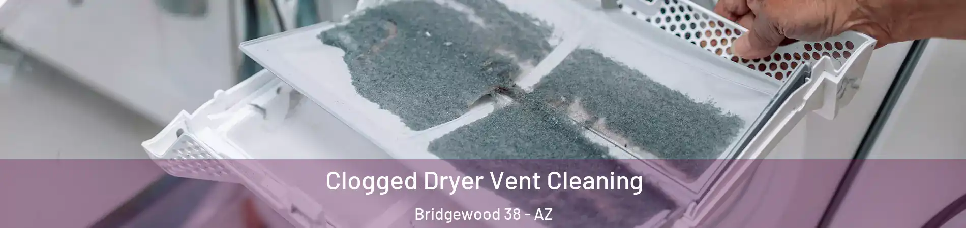 Clogged Dryer Vent Cleaning Bridgewood 38 - AZ