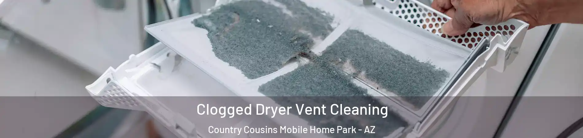 Clogged Dryer Vent Cleaning Country Cousins Mobile Home Park - AZ