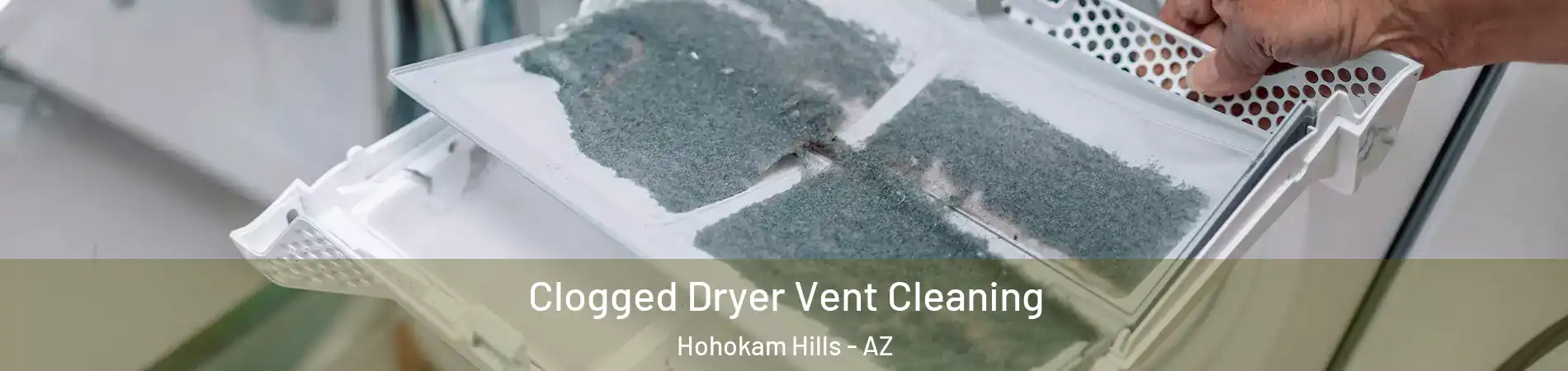 Clogged Dryer Vent Cleaning Hohokam Hills - AZ