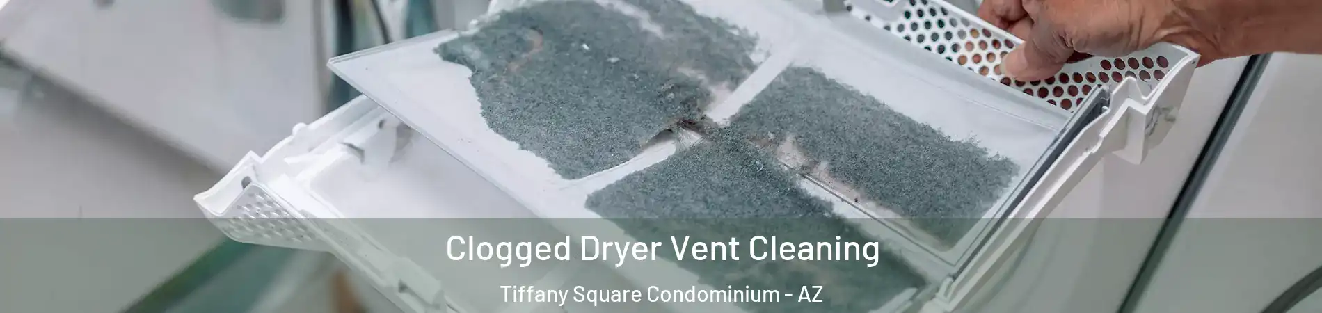 Clogged Dryer Vent Cleaning Tiffany Square Condominium - AZ