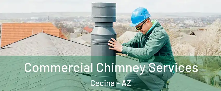 Commercial Chimney Services Cecina - AZ