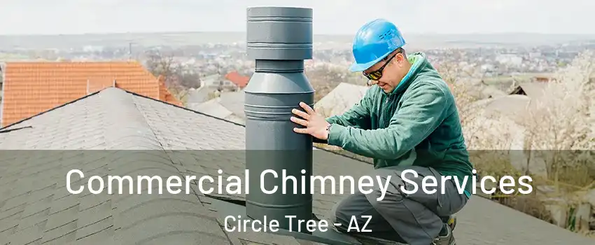 Commercial Chimney Services Circle Tree - AZ