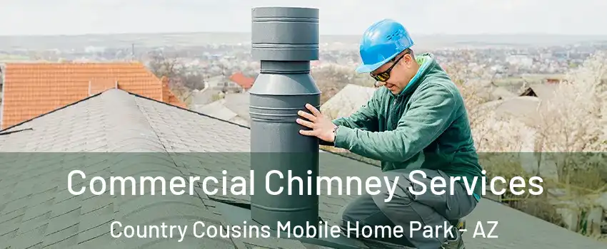 Commercial Chimney Services Country Cousins Mobile Home Park - AZ