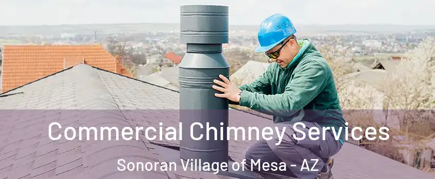 Commercial Chimney Services Sonoran Village of Mesa - AZ