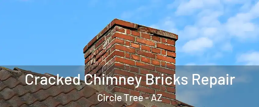 Cracked Chimney Bricks Repair Circle Tree - AZ