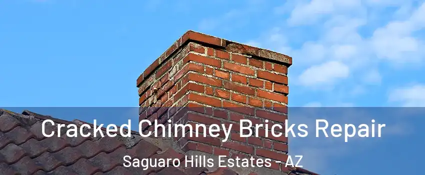 Cracked Chimney Bricks Repair Saguaro Hills Estates - AZ