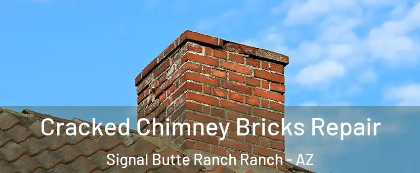 Cracked Chimney Bricks Repair Signal Butte Ranch Ranch - AZ