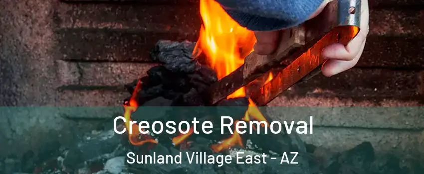 Creosote Removal Sunland Village East - AZ