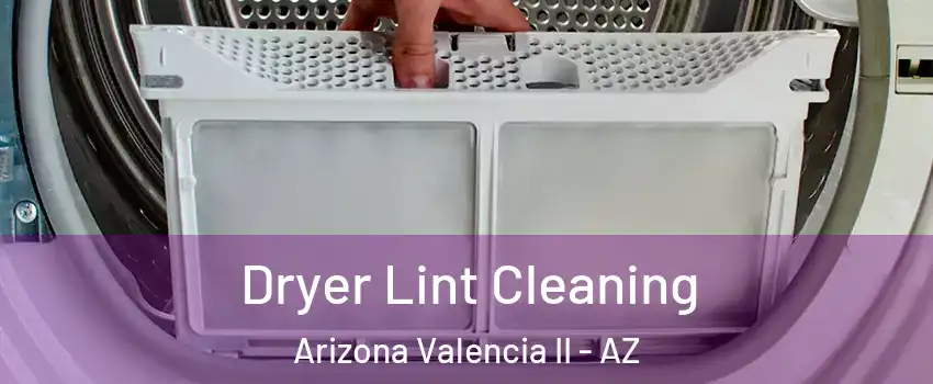 Dryer Lint Cleaning Arizona Valencia II - AZ